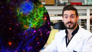 Illuminating the city of cells inside cancer