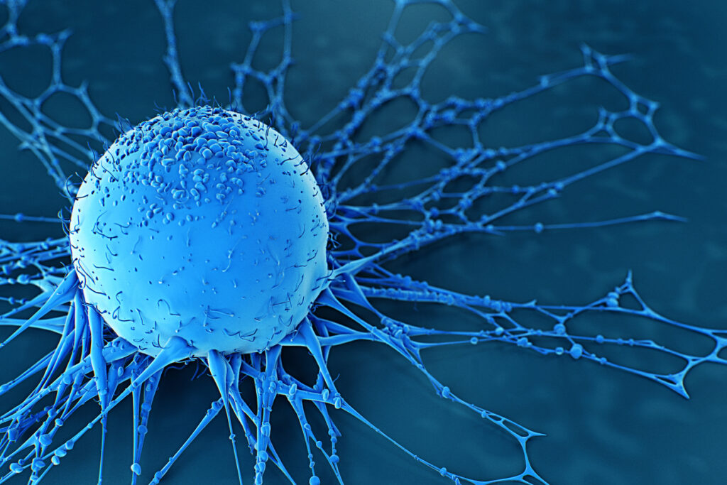Human Cancer Cell. Credit: luismmolina, iStock